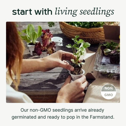 Farmstand Starter Kit + 18 Seedling Credits | Small Hydroponic Growing System Kit | Self-Watering