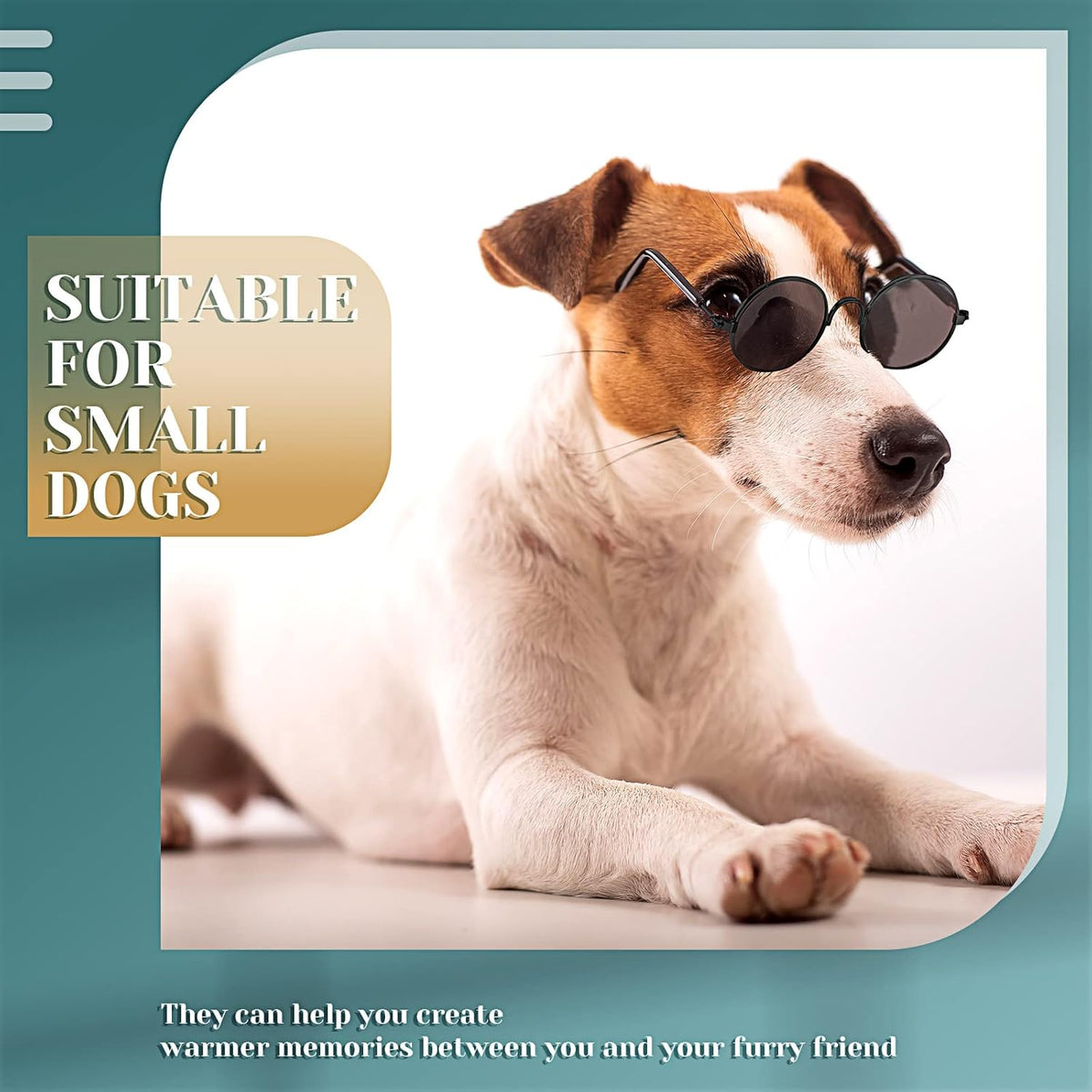 Dog Sunglasses Retro Pet Glasses Doll Glasses Classic Round Dog Glasses Metal Cat Puppy Eye Wear