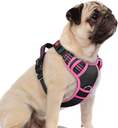 rabbitgoo Dog Harness Small Sized, No Pull Dog Vest with 3 Buckles, Adjustable Soft Padded Pet
