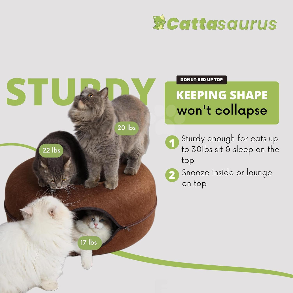 Cattasaurus Peekaboo Cat Cave for Multiple & Large Cats Up to 30-45 Lbs, Scratch Detachable &