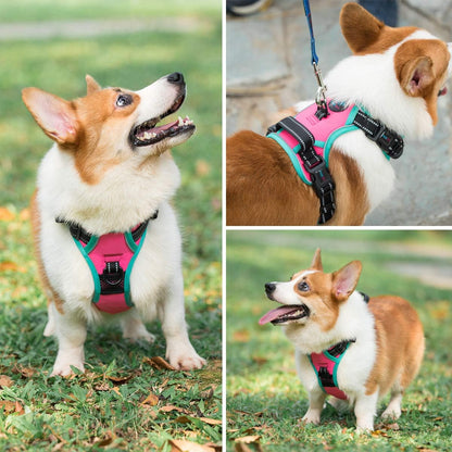 PHOEPET 2019 Upgraded No Pull Dog Harness, Reflective Adjustable Vest, with a Training Handle + 2