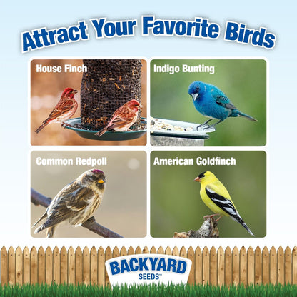 Thistle Seed for Finches – Premium Wild Bird Food for Goldfinches, Siskins & Small Songbirds |