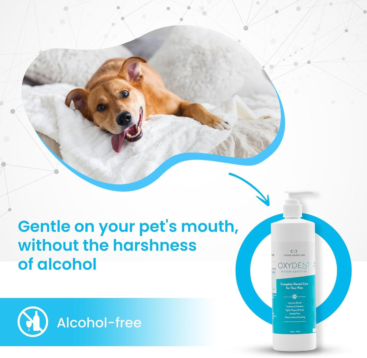 Oxydent Premium Pet Dental Care Solution - Pet Water Additive & Mouthwash for Teeth Cleaning
