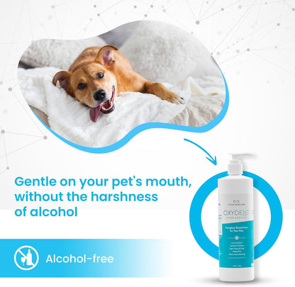 Oxydent Premium Pet Dental Care Solution - Pet Water Additive & Mouthwash for Teeth Cleaning