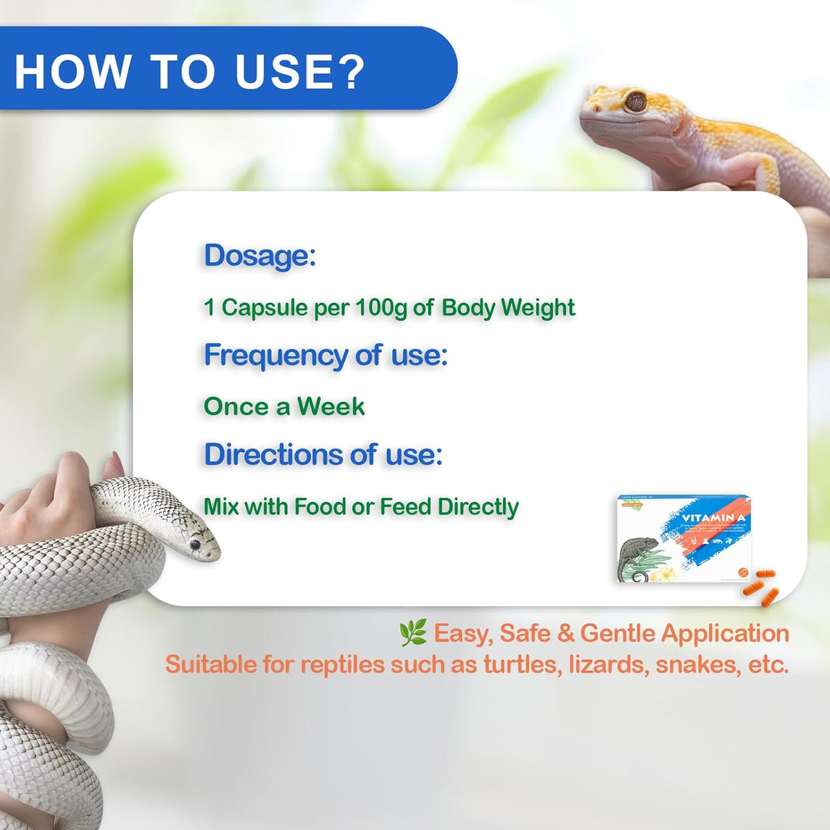 Reptile Vitamin A Supplement – Eye Health Support for Lizards, Turtles, Snakes & Amphibians