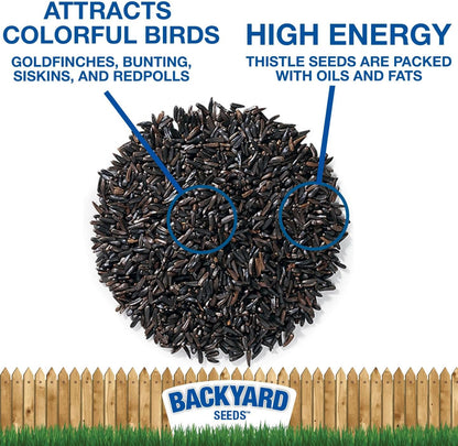 Thistle Seed for Finches – Premium Wild Bird Food for Goldfinches, Siskins & Small Songbirds |