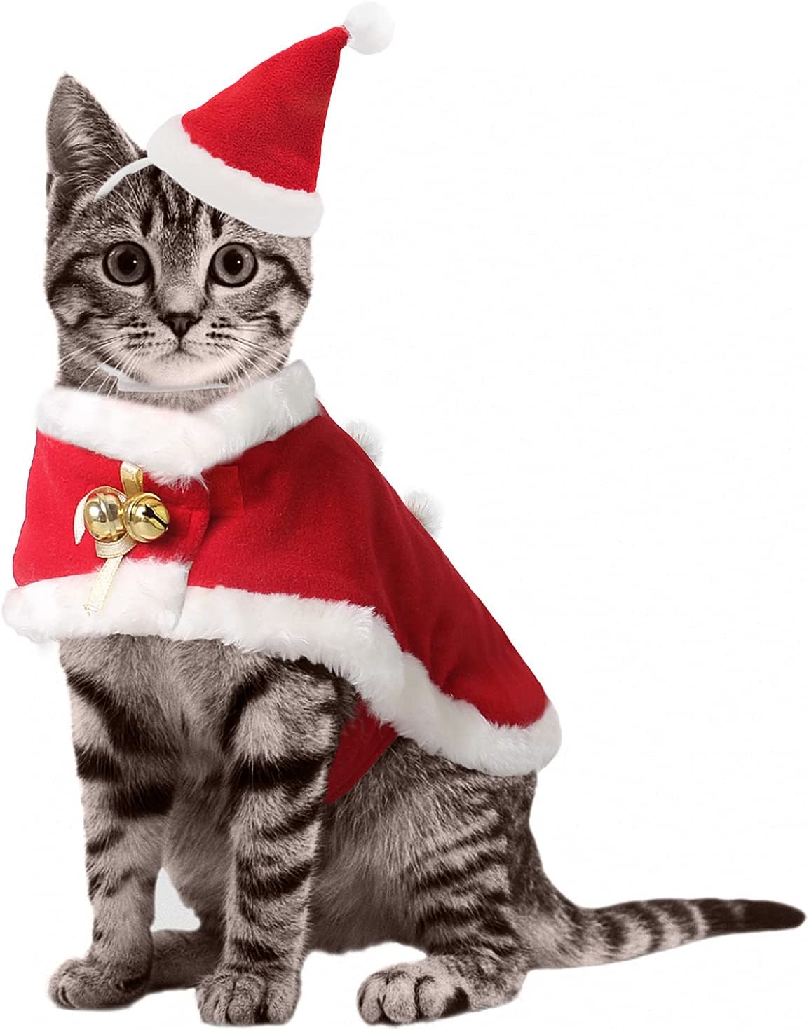 Enjoying Cat Christmas Costume, Pet Santa Claus Hat with Xmas Clothes for Cats Small Dogs, Kitten