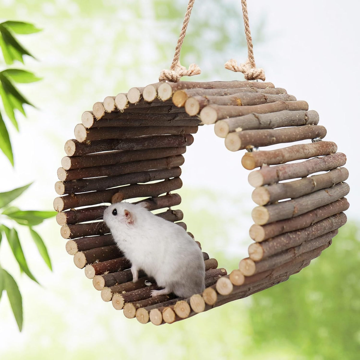 Bird Parrot Swing Toys, Hanging Bird Tree Caves, Natural Apple Wood Parrot Hammock, Bird Cage