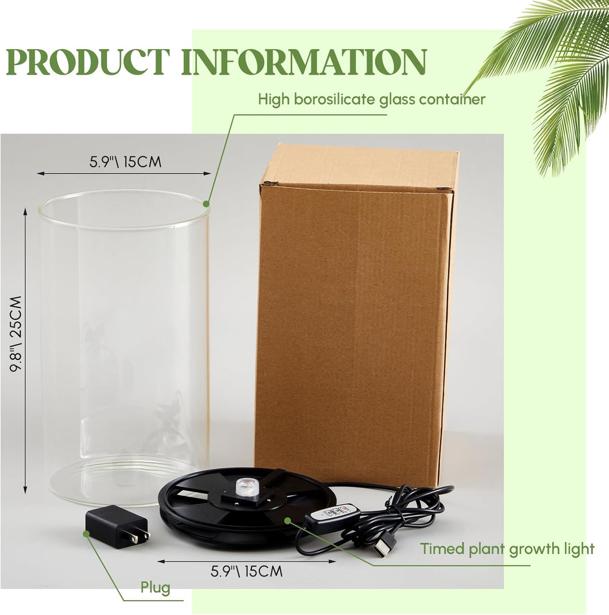 Maxdot Glass Plant Terrarium Kit with Light for Succulent, Moss, Miniature Gardening Landscape