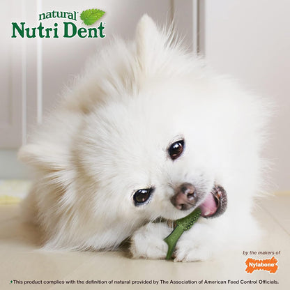 Nylabone Nutri Dent Dog Dental Chews - Natural Dog Teeth Cleaning & Breath Freshener - Dental