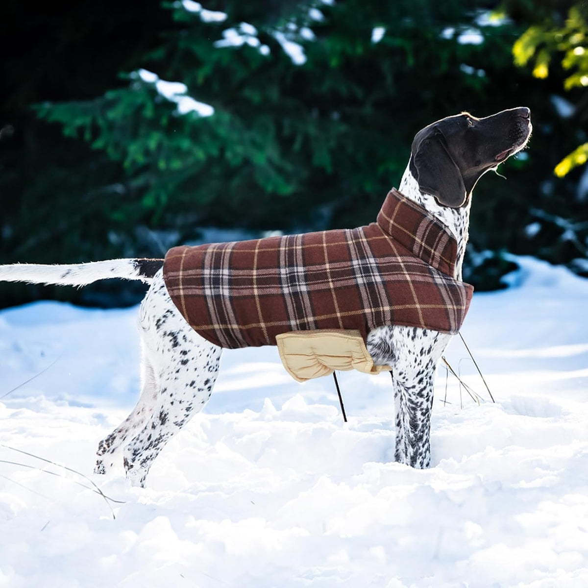 Kuoser Waterproof Dog Coat, Reversible Dog Jacket for Large Dogs, Adjustable Durable Doggie Winter