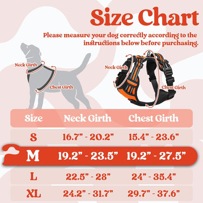 rabbitgoo Dog Harness Medium Sized, No Pull Pet Harness with 3 Buckles, Adjustable Soft Padded Vest