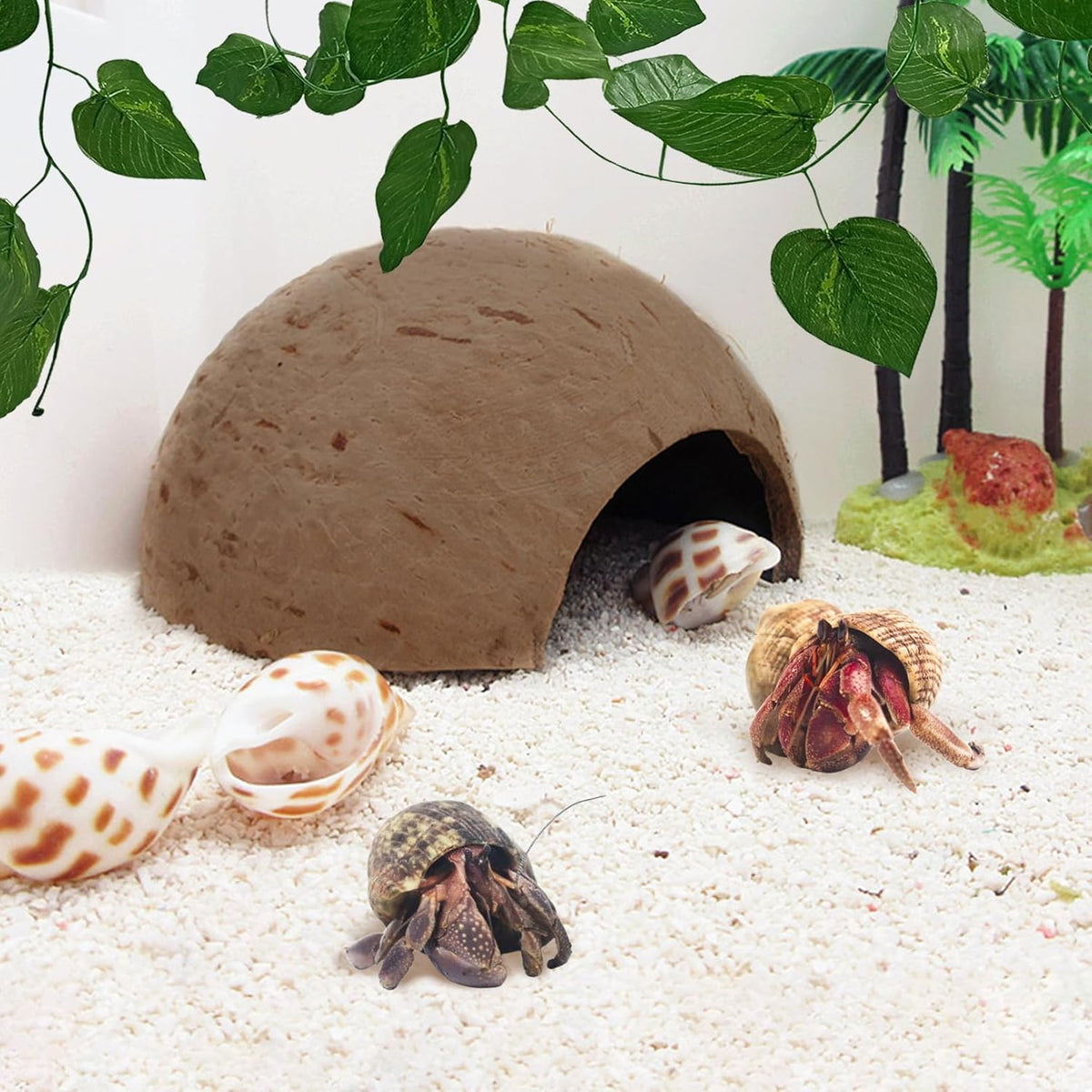Hamiledyi 7 Pcs Reptile Hideouts Natural Coconut Shells Hut Leopard Gecko Tank Accessories for
