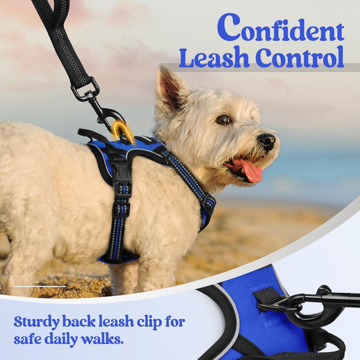 rabbitgoo Dog Harness No Pull with 2 Leash Clips, Adjustable Soft Padded, Reflective Oxford No