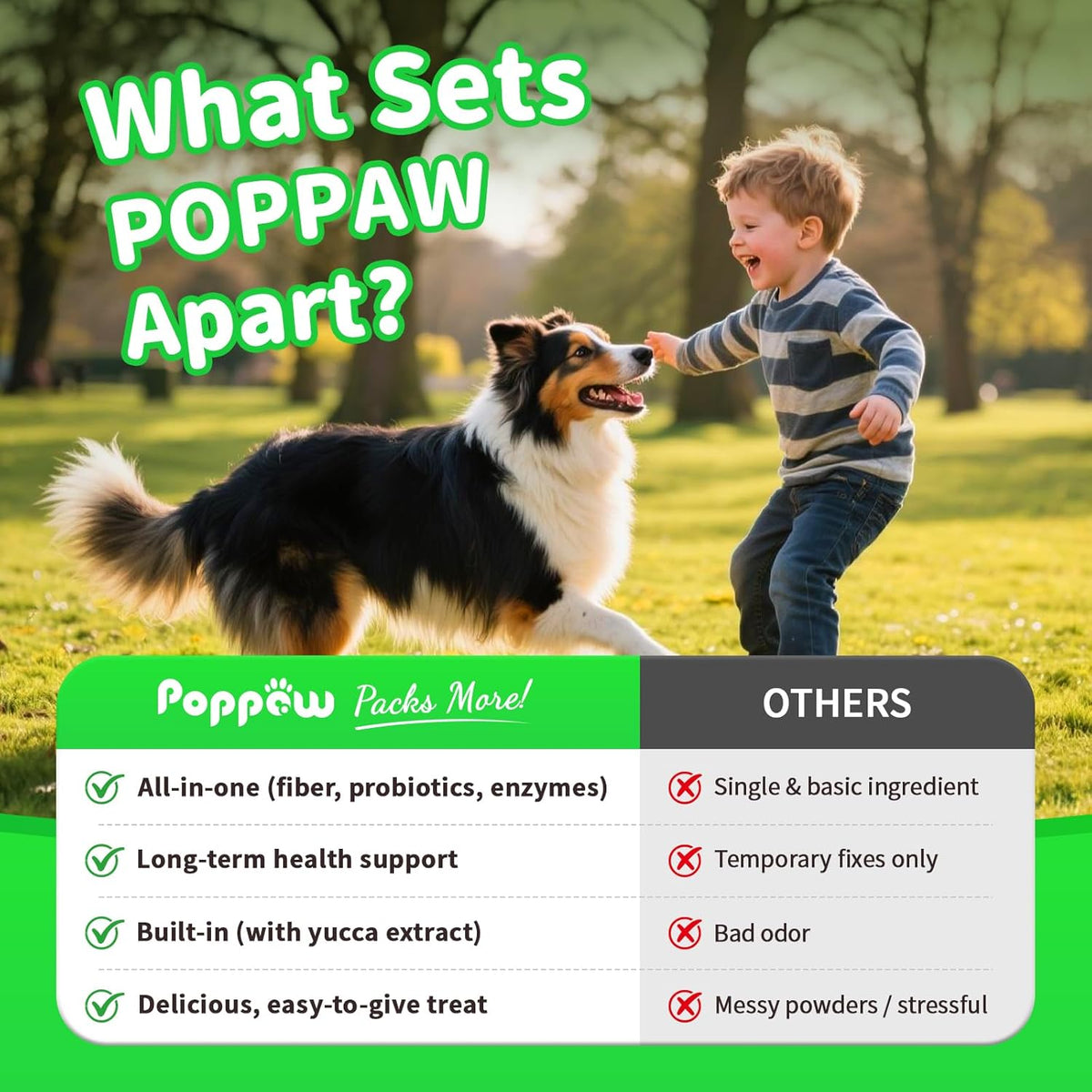Premium Dog Digestive Enzymes and Probiotics with Pumpkin for Gut Health Support - Daily Chews for