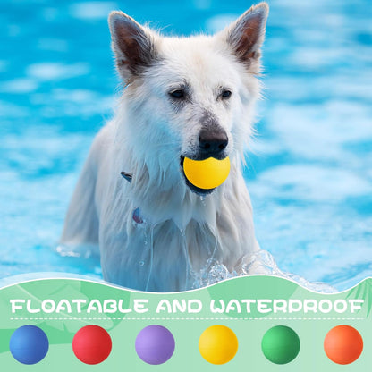 Shappy 24 Pieces Rubber Dog Tennis Balls for Dog Colorful Catching Pet Balls for Fetch Training 2.4