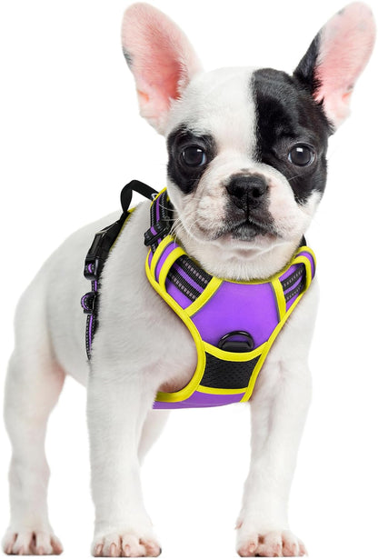 rabbitgoo Dog Harness No Pull with 2 Leash Clips, Adjustable Soft Padded, Reflective Oxford No