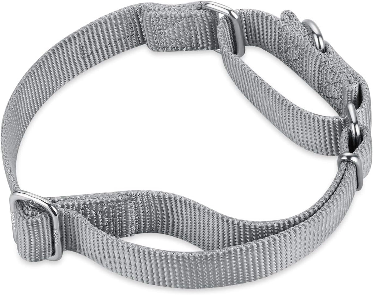 Hyhug Pets Premium Upgraded Heavy Duty Nylon Anti-Escape Martingale Collar for Pup Boy and Girl