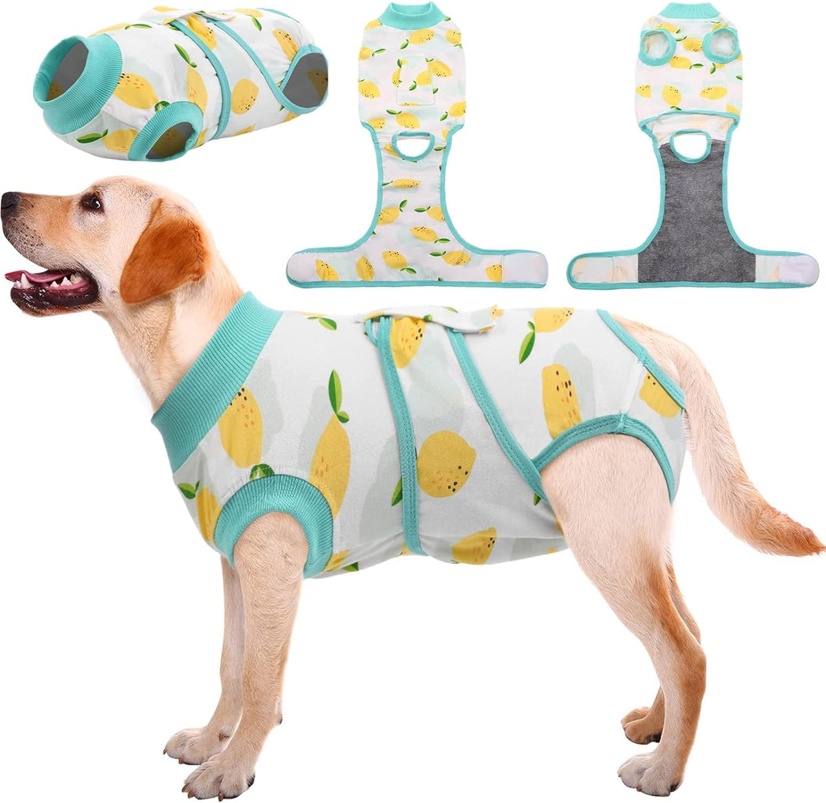 Kuoser Recovery Suit for Dogs Cats After Surgery, Professional Pet Recovery Shirt Dog Abdominal