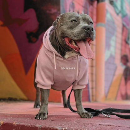 Spark Paws Dog Hoodie – Premium Dog Sweater for Small, Medium, and Large Dogs | Warm Outfits for
