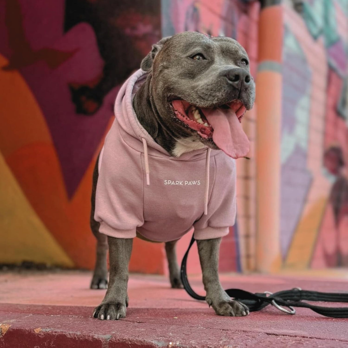 Spark Paws Dog Hoodie – Premium Dog Sweater for Small, Medium, and Large Dogs | Warm Outfits for
