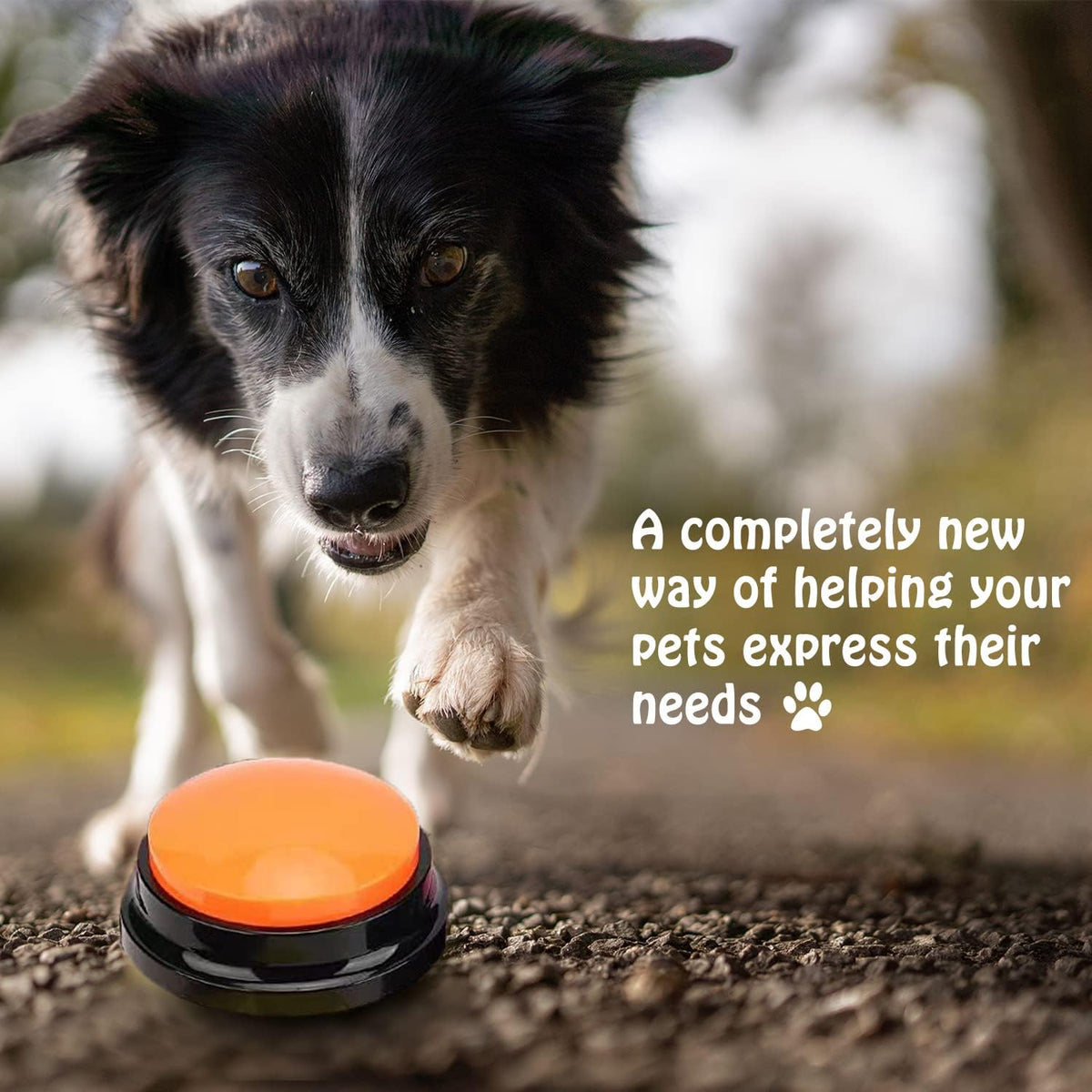 FINEST+ Voice Recording Button for Communication Pet Training Buzzer, 30 Second Record&Playback Dog