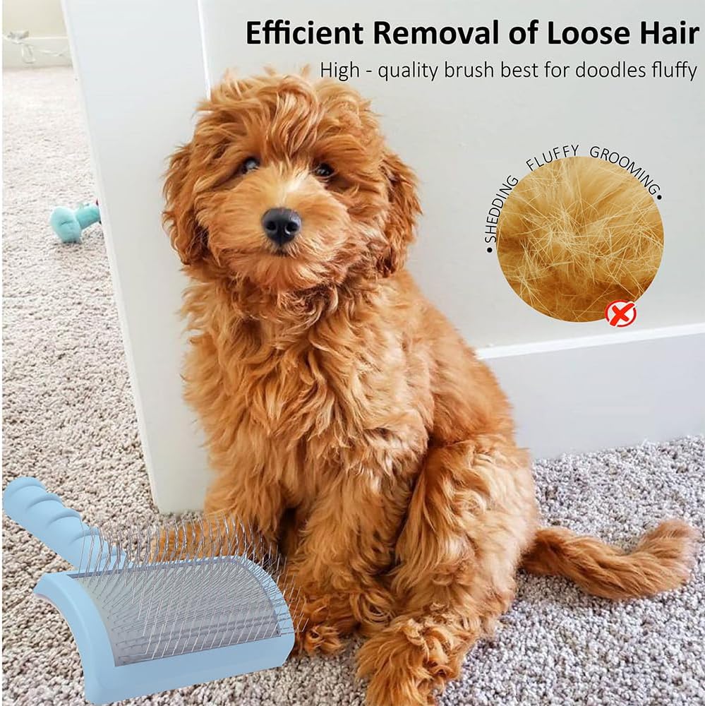 Slicker Brush for Poodles and Goldendoodles - Curved Brush for Thick, Fluffy, Shedding Fur on Dogs