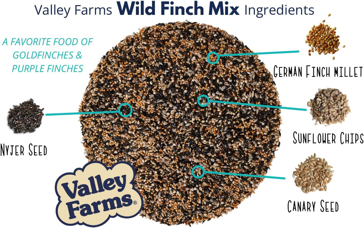 Valley Farms Wild Finch Mix 4 LB 2-Pack (8 LB Total) Wild Bird Food for Outside Feeders, Wild Bird