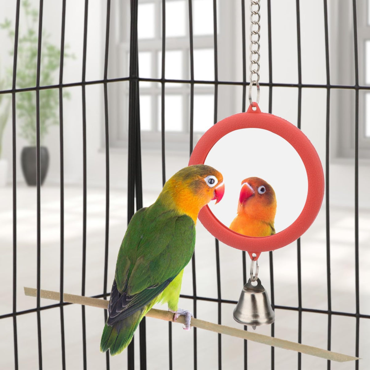 Hypeety Pet Bird Mirror with Bell Interactive Parrot Toy Bird Cage Mirror for Cockatiel Parakeets