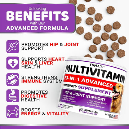 2-Pack Dog Multivitamin Chewable with Glucosamine - Dog Vitamins and Supplements - Senior & Puppy