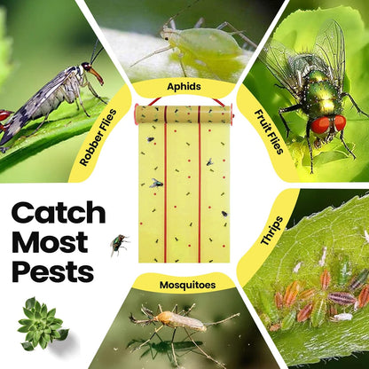 Qualirey Giant Sticky Fly Traps,30 Feet Fly Strips for Indoor Outdoor Hanging Flying Tapes Non
