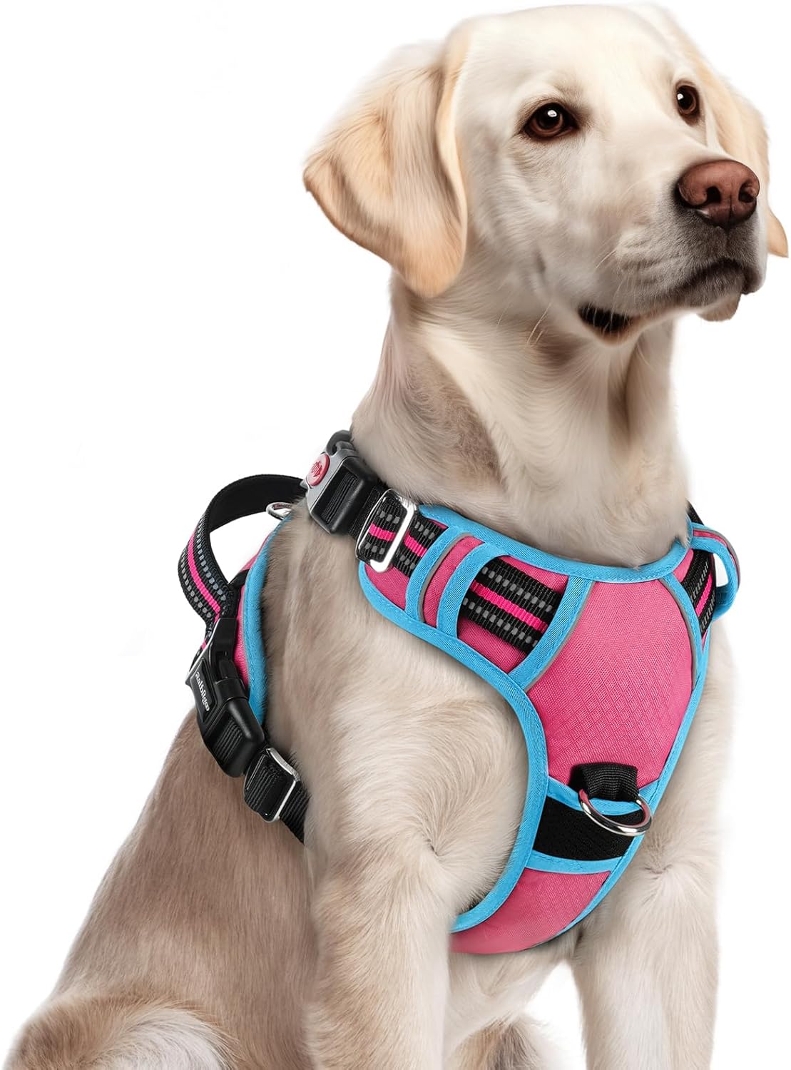 rabbitgoo Dog Harness for Large Dogs, No Pull Pet Vest with 3 Buckles, Adjustable Soft Padded Pet