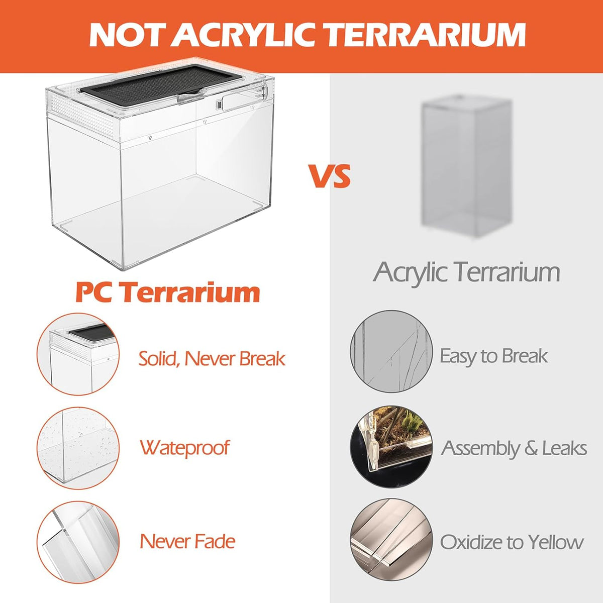 AZV Reptile Terrarium,Reptile Tank 15x8x10in Amphibian Isopod Tank Starter Kit with Bearded Dragon