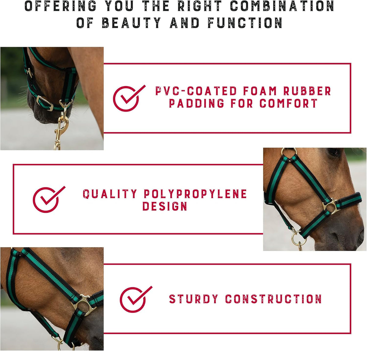 Weaver Equine Breakaway Horse Halter, Comfort Foam Padding, Adjustable Chin & Throat Snap Halters