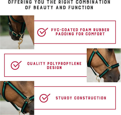 Weaver Equine Breakaway Horse Halter, Comfort Foam Padding, Adjustable Chin & Throat Snap Halters