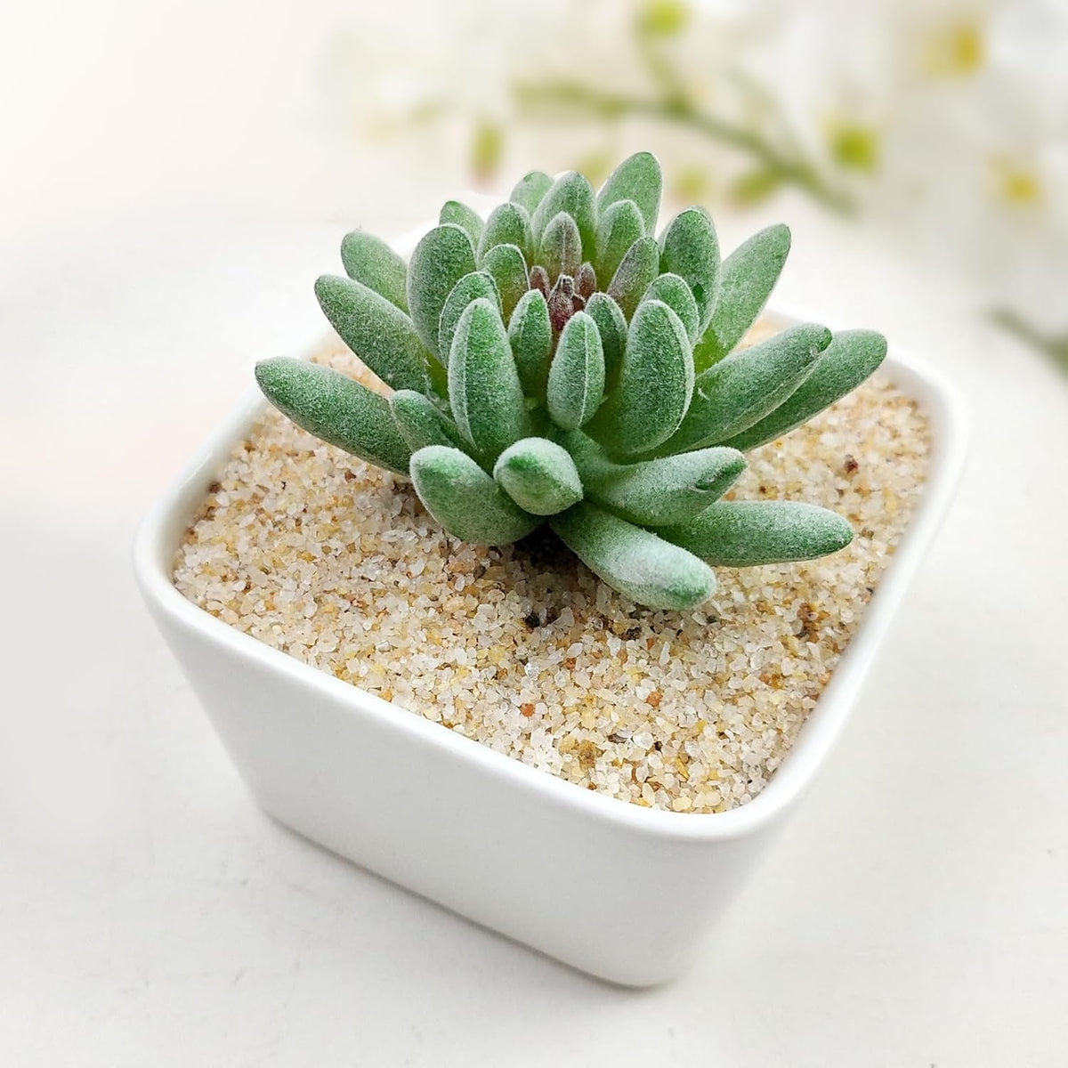 5 lbs Aquarium Silica Sand. 0.4-0.8 mm Mini Gravel Substrate for Fish Tank, Plants Potted, Fire