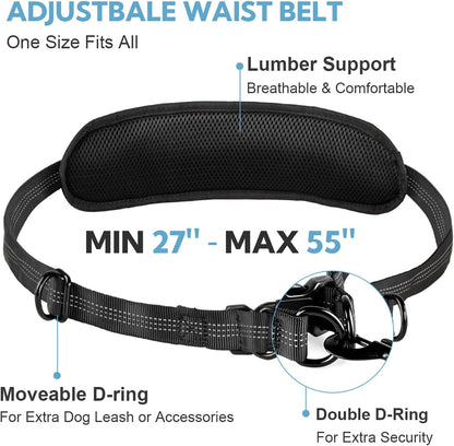 Hands Free Dog Leash with Pouch, Double Leash for Two Dogs, Retractable Bungee with Double Padded