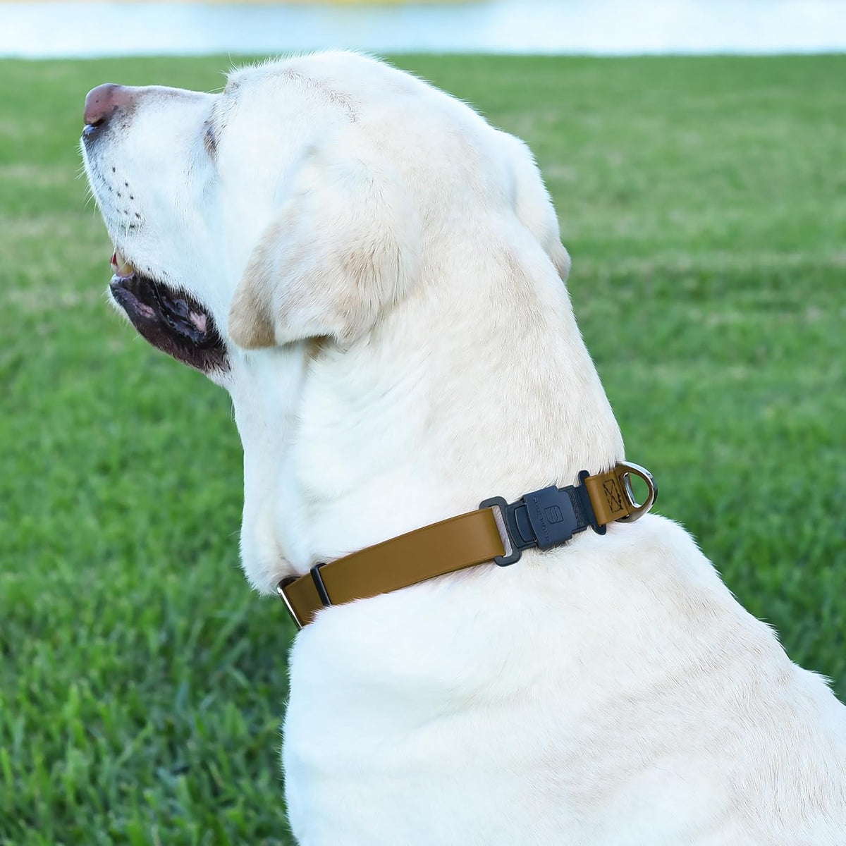 Dogline Biothane Waterproof Dog Collar with Herm Sprenger Stainless Steel Quick Release Buckle
