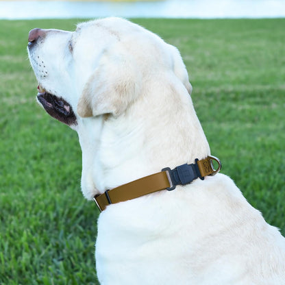 Dogline Biothane Waterproof Dog Collar with Herm Sprenger Stainless Steel Quick Release Buckle