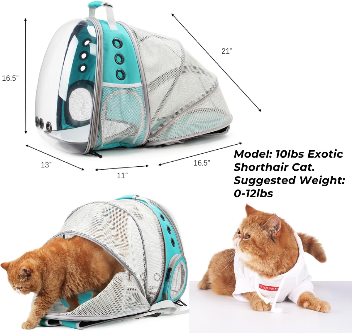 Lollimeow Cat Carrier Backpack, Bubble Expandable Backpack Carrier, Pets and Small