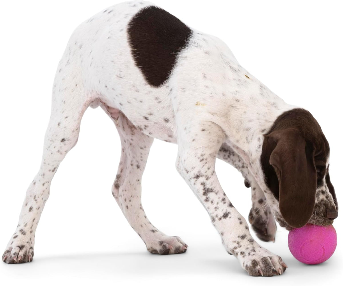 WEST PAW Boundr Ball Dog Fetch Toy – Bouncing Toys for Dogs, Fetch, Catch, Chewing, Play