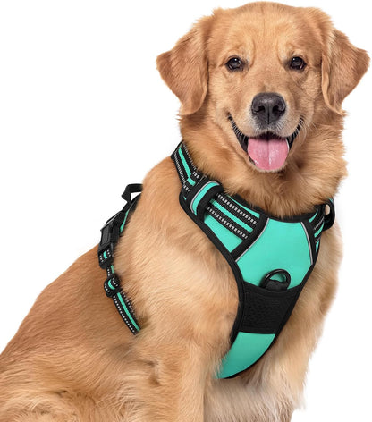 rabbitgoo Dog Harness No Pull with 2 Leash Clips, Adjustable Soft Padded, Reflective Oxford No