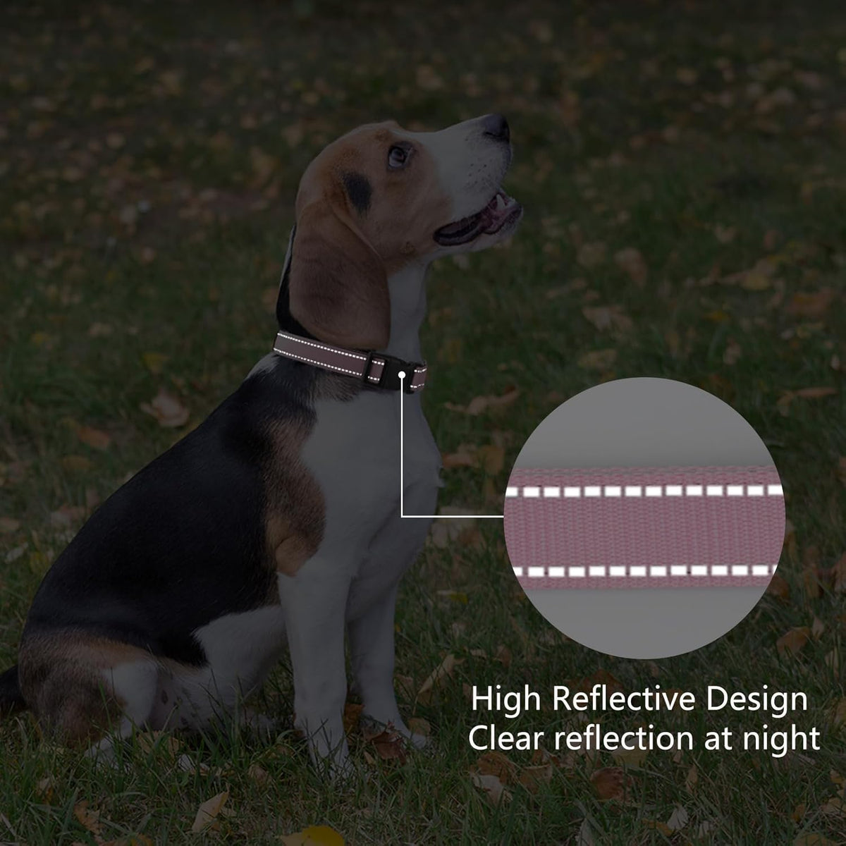 Reflective Dog Collar Padded with Soft Neoprene Breathable Quick Release Basic Dog Collars for