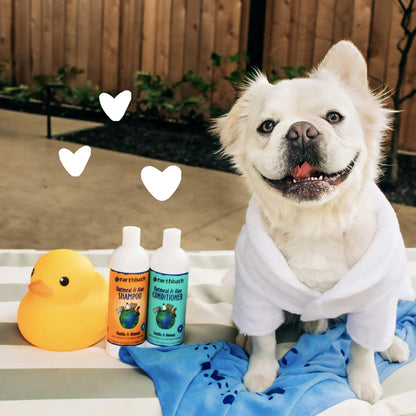 earthbath Oatmeal & Aloe Dog Shampoo. Chosen for real quality, fits naturally into modern pet homes.