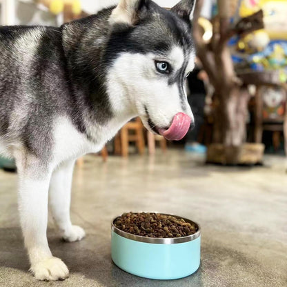 Stainless Steel Dog Bowl - Metal Water and Food Dish for Large Dogs, Insulated, Non-Slip, Easy