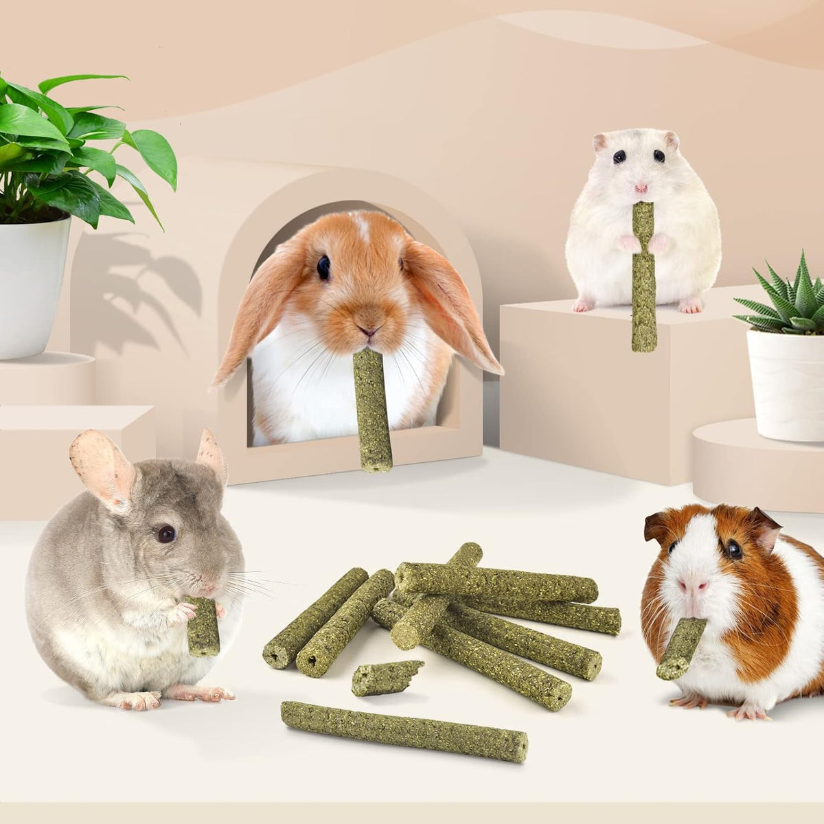 Bissap Timothy Hay Sticks for Rabbits 38PCS, Natural Timothy Grass Molar Teeth Stick Chew Toys for