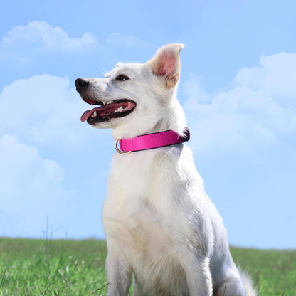 Didog Soft Padded Dog Collars for Medium Dogs, Lightweight and Breathable Dog Collar with Metal