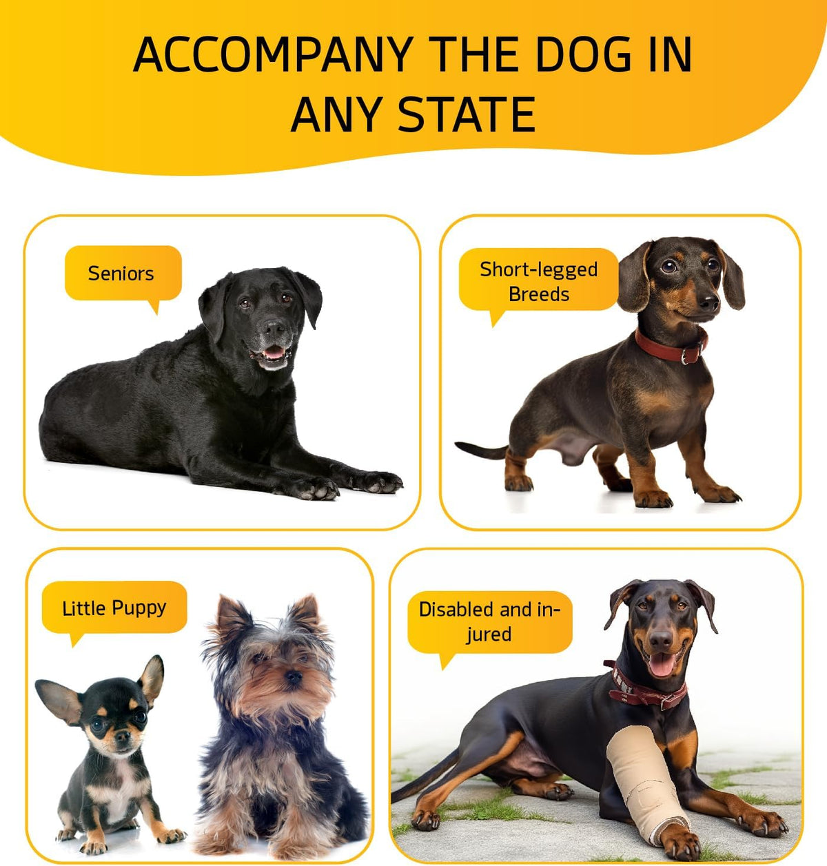 Dog Stairs for Bed, Dog Steps for Bed Couch Sofa, 35D Foam Pet Steps for Small Dogs and Cats, Extra