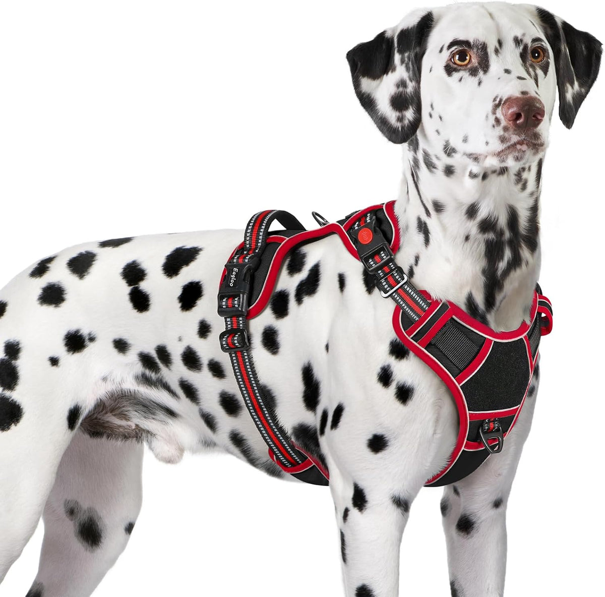 Eagloo Dog Harness for Large Dogs, Easy Wearing with 3 Buckles, Adjustable No Pull Pet Harness with
