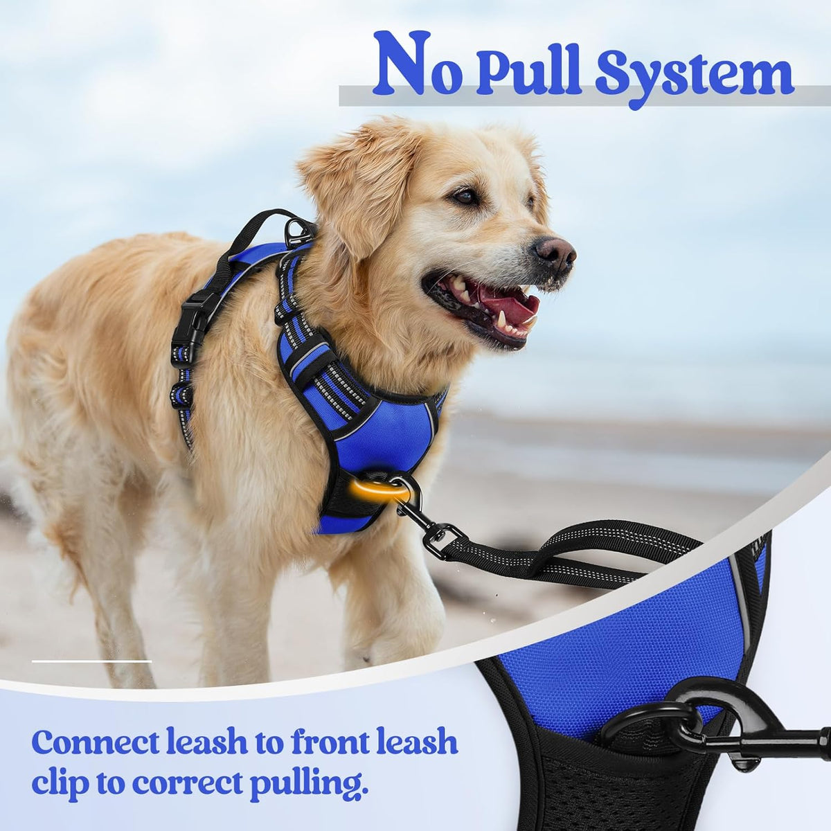 rabbitgoo Dog Harness No Pull with 2 Leash Clips, Adjustable Soft Padded, Reflective Oxford No